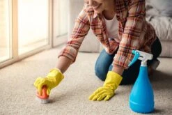 BiOHY Teppichshampoo (1l Flasche) | Teppichreiniger Ideal Zur Entfernung Von Hartnäckigen Flecken | SPEZIELL FÜR WASCHSAUGER ENTWICKELT 13 BiOHY Teppichshampoo (1l Flasche) | Teppichreiniger Ideal Zur Entfernung Von Hartnäckigen Flecken | SPEZIELL FÜR WASCHSAUGER ENTWICKELT -Laden Für Reinigungsmittel 1ea36e49 4ad7 4d50 ab4c 736995fcee15