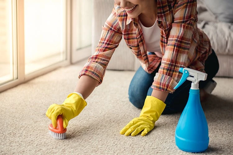 BiOHY Teppichshampoo (9x1l Flasche) | Teppichreiniger Ideal Zur Entfernung Von Hartnäckigen Flecken | SPEZIELL FÜR WASCHSAUGER ENTWICKELT 7 BiOHY Teppichshampoo (9x1l Flasche) | Teppichreiniger Ideal Zur Entfernung Von Hartnäckigen Flecken | SPEZIELL FÜR WASCHSAUGER ENTWICKELT – Bild 7