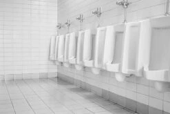 BiOHY WC-Reiniger (12x1l Flasche) | EXTRA STARK | Profi Bio Konzentrat | Dickflüssiges Reinigungs-Gel | Ideal Gegen Urinstein -Laden Für Reinigungsmittel df2390b2 42ed 4f70 95d8 057d9c2f50ed